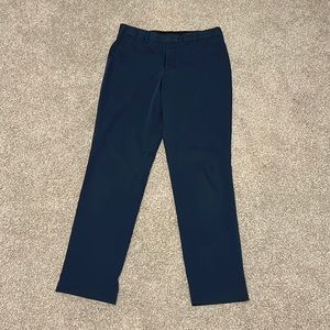 Express dress pant